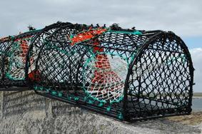 Les artisans pêcheurs indemnisés